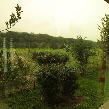 Countryside B&B Ruisui Quarto foto
