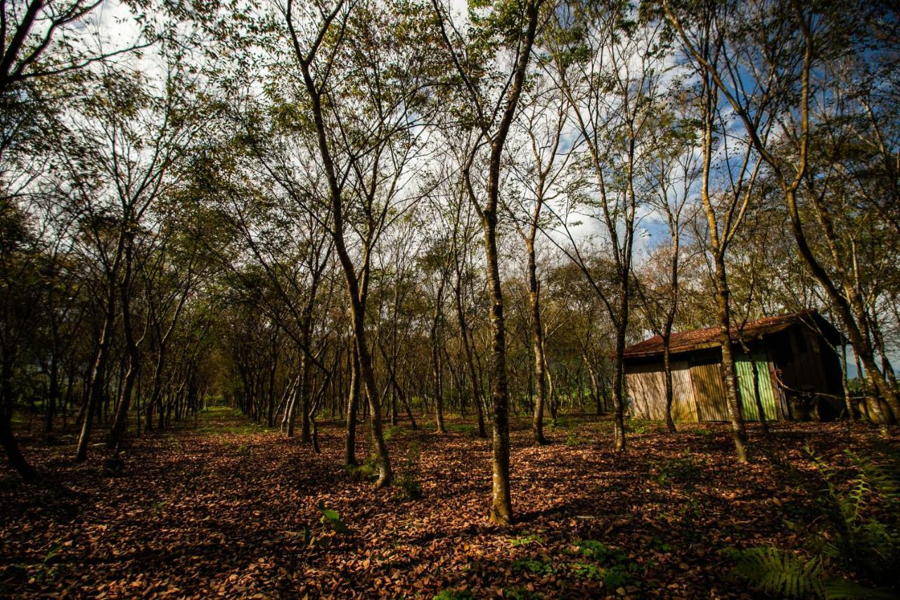 Countryside B&B Ruisui Exterior foto